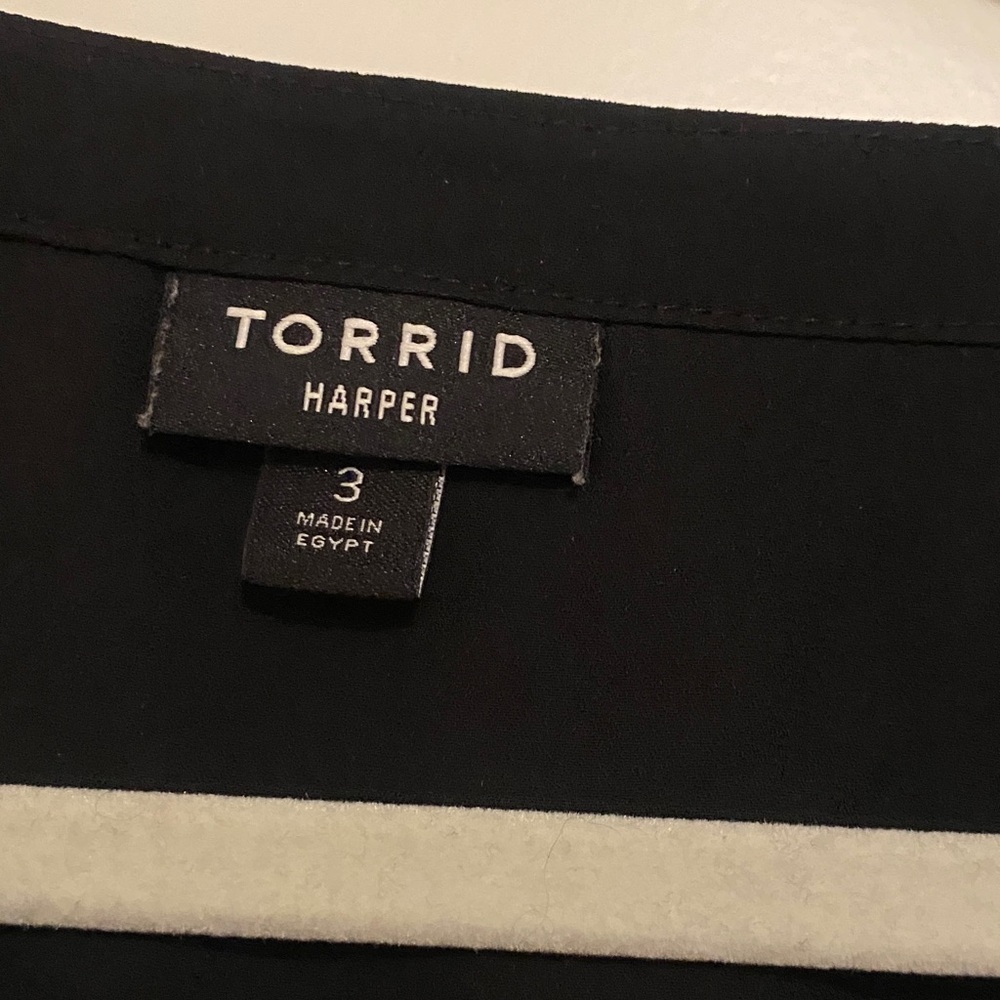 Torrid Harper - image 2